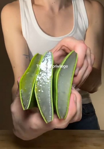 Aloe Vera Benefits: Skin Care and Digestion Tips