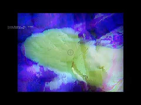 [log]construal of entoptic cat