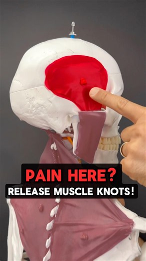 Pain HERE? Release Muscle Knots!