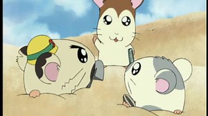Hamtaro - 1 Épisode 6 : Excursion à la mer - streaming - VF - ADN