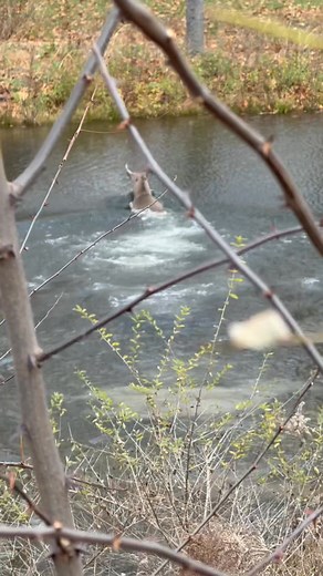 48K views · 349 reactions | This was wild! | Ben Kravitz | Facebook