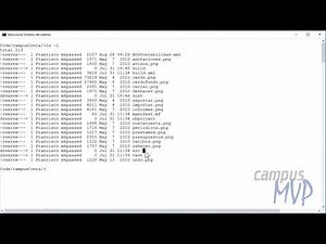 Paquetes en Java: qué son, para qué se utilizan, y cómo se usan