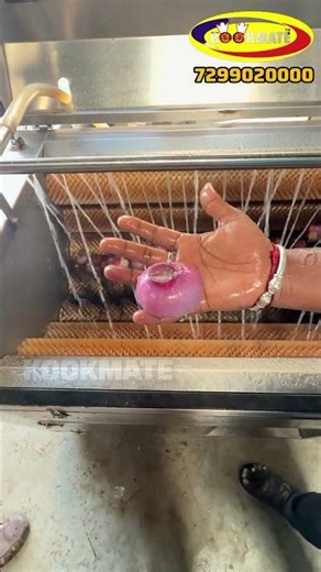 Client Demo For Commercial Vegetable Brush Peeling & washing machine | Ozone Bubble Washer