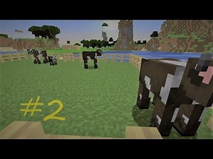 Psycho plays Minecraft #2 Spiders and a cow farm.