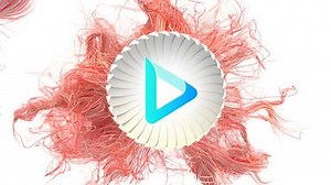 Abstract Strings Logo Reveal (10 Second Version) | Renderforest