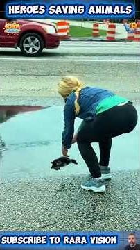 15 Heroes Who Rescued Animals Away from the Spotlight ❤️| Chapter 2