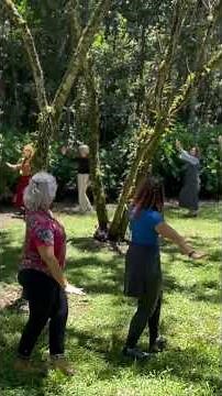 Aconteceu o Origens- Danças Circulares neste feriado. Que grupo incrível e sensível! #dance
