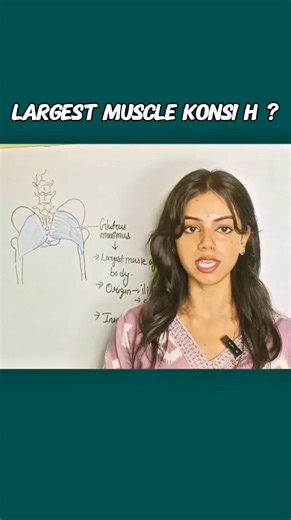 Gluteus Maximus Muscle | Origin, Insertion & Function in 1 Min 🧠