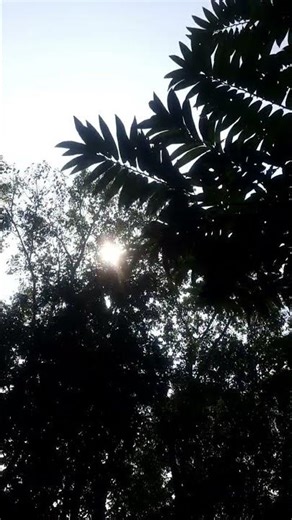 Beautiful Daroood e Ebrahim Recitation | Send blessings to Propher (PBUH) #shorts #nature