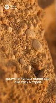 Пантеон - Купол, который 2000 лет стоит без арматуры! #rome #факты #техника #рим #строительство #тех