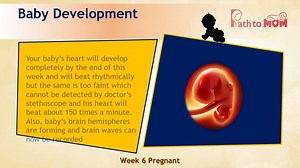Pregnancy Week By Week | 6 Weeks Pregnant | Pregnancy Stages & Fetal Development