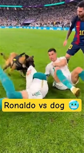 Dog attacked fake ronaldo 🐐☠️