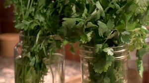 How to Create an Indoor Vertical Herb Garden