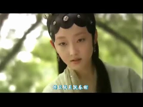 葬花吟 - 童丽（新旧红楼梦版）Song of Burial of Flowers - Tong Li