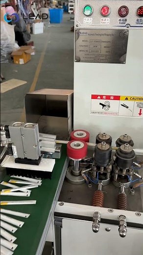 Fully Automatic Toothpick Packaging Machine - Test Completed, Ready to Ship|Lead Machinery