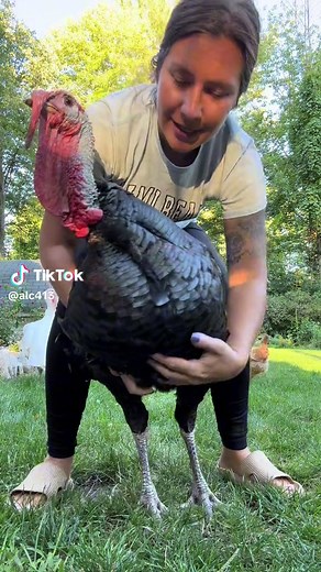 Hilarious Turkey Burping Animals Compilation