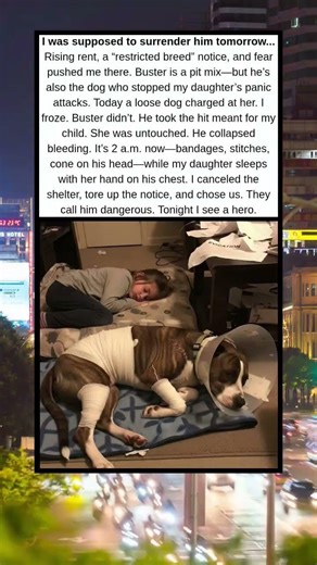 I Was Supposed to Surrender Him Tomorrow—Tonight He Saved My Daughter