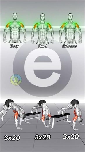 Pike Push-Up | Bench Pike Push-Up | Shoulder Exercise | Home Workout #shorts