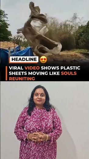 beautiful scene #viral #trending #unbelievable #shorts #explore #reels #fyp #youtubeshorts #ytshorts