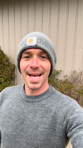 Goat Daddy's Farm and Animal Sanctuary on Instagram: "The amount of times people say “is that a turkey”….does everyone not know what a guinea fowl is? #chicken #poultry #guineafowl #farm"