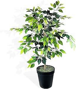4 ft Ficus Tree in Black Plastic Pot with Real-Wood Trunk - Indoor and Outdoor Faux Plants for Patio, Living Rooms, Offices & Outdoor Spaces