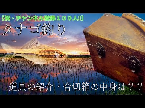 【祝・チャンネル登録100人!!】趣深きタナゴ釣り 道具の紹介 合切箱の中身は？？