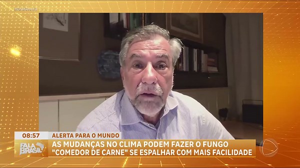 Fungo Aspergillus se alastra com mudanças climáticas e preocupa cientistas