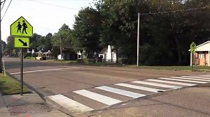 1.9K views · 32 reactions | Every year, we work in communities across the country to make school zones safer for our kids. By adding signs and signals, installing crosswalks and educating students, we are working to ensure that every child makes it home safely at the end of the day. We need your support to continue helping schools like Treadwell Elementary. Click here to donate to Safe Kids Worldwide: https://give.safekids.org/HolidayGiving2017 | Safe Kids Worldwide | Facebook