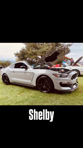 Ford Mustang Car Show 2025, Heber City, Utah We got a “Gold” medal and won eight different raffle prizes throughout the day plus the sweet chairs at the auction banquet. I’ve always wanted to go to a banquet, I just think it sounds fancy. | Char Dawson