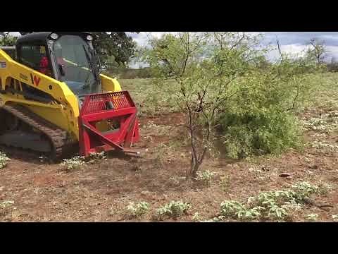 Skid Steer with GRUB N GRADE grubber attachment. Great for grubbing mesquite and cedar trees.