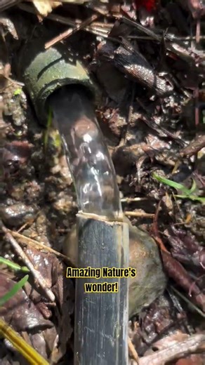 Amazing Nature's WONDER! 🌬️😱 #trending #natureswonders