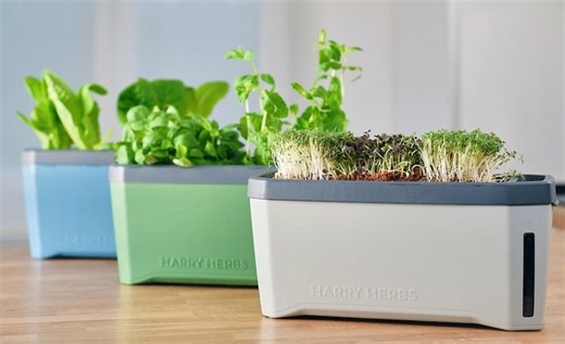 Harry Herbs indoor garden planter for microgreens, herbs and more