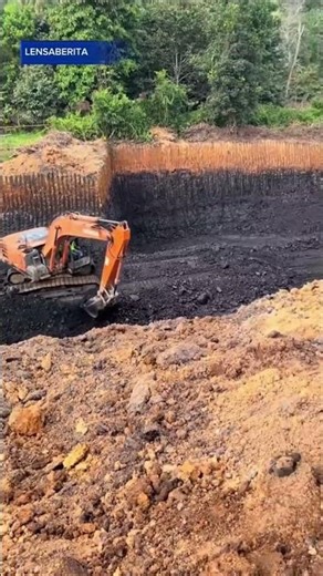 Fakta Tambang Kalimantan: Batu Bara Dangkal & Mudah Ditambang #shorts #TambangBatubara #viralshorts