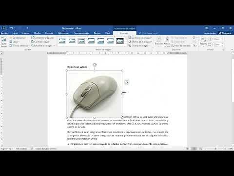 formato de imagen en Word