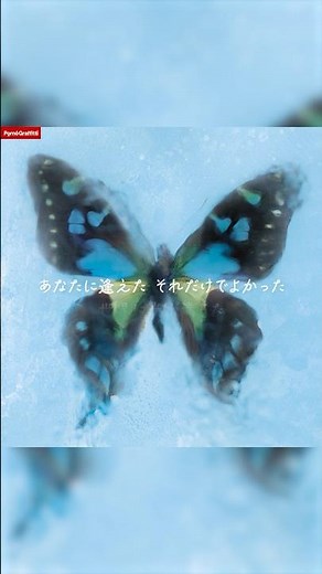ポルノグラフィティ『アゲハ蝶』#ポルノグラフィティ #リリックビデオ #throwbackpornograffitti #アゲハ蝶 #アゲハ蝶の思い出