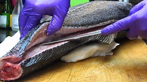 How to Fillet a Fish 2 Ways with different knives | Food Adventure