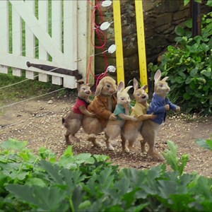 2.6K reactions · 298 shares | اكتشف مغامرة مشوقة عند لقاء في Peter Rabbit  ابتداءً من 29 مارس ! This March 29, discover an adventure when man meets rabbit #PeterRabbit | Empire Movies | Facebook