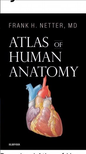 Netter Atlas of Human Anatomy 7th Edition Latest Edition by Frank H. Netter free PDF Download