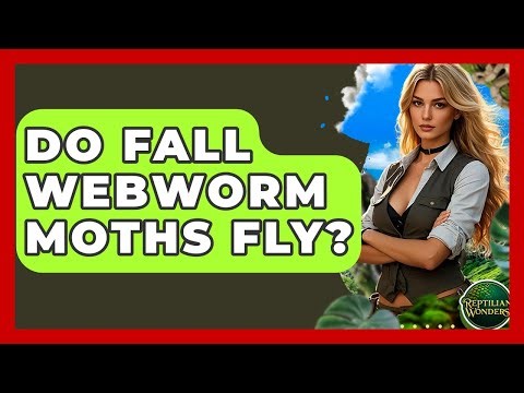 Do Fall Webworm Moths Fly? - Reptilian Wonders