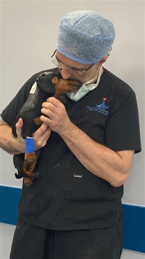 Noel Fitzpatrick on Instagram: "Special pup, special families, and special moments ❤️ See Wilma's story on YouTube x #SupervetER #FitzpatrickReferrals"