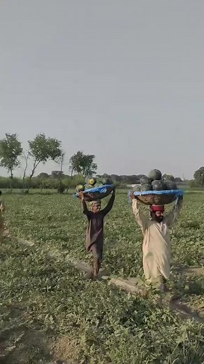 4.4K reactions · 34 shares | M Waqas on Reels | Facebook