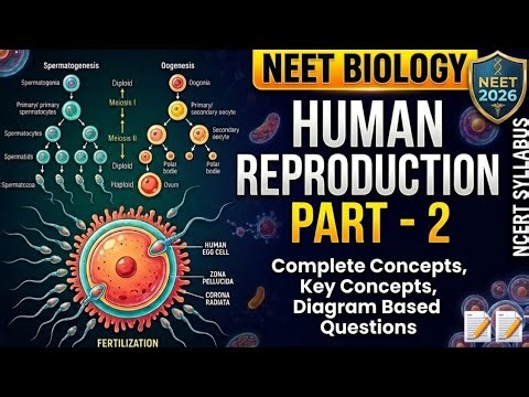 Human Reproduction | Part-2 |class12th |Gametogenesis | #neet #viralvideo #Biology