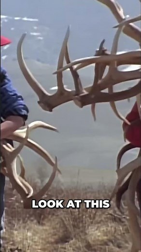 Why Boy Scouts Hunt for Elk Antlers Every Spring