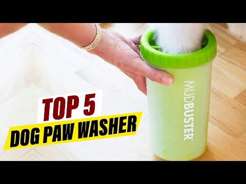 Best Dog Paw Washer Ever! Must-Have for Dirty Paws