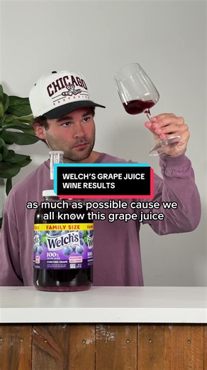 welch’s grape juice wine update 🍷 #mead #homebrew #homebrewing #fermentation