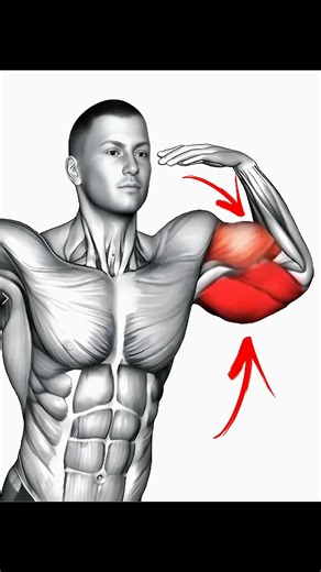 Ultimate biceps and triceps workout designed to grow bigger arms fast with powerful exercises that improve muscle size, strength, endurance, and overall upper-body performance. #waitandwatch #7 #bicepsworkout #tricepsworkout #fyp