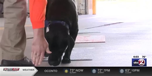 Attorney General announces new accelerant detection dog for the DCI