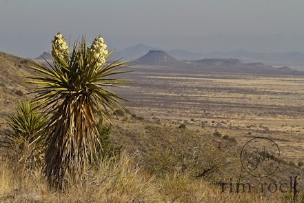 CE Miller Ranch Valentine Texas - nestled at the base of the Sierra Vieja Mountains