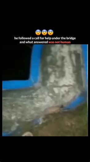 nandhainslice™ on Instagram: "In January 2024, something strange happened in Indonesia. One night, a man went alone into a forest area where there was an old bridge. He just wanted to see the place and enjoy the cool night air. For a while, everything felt normal and quiet. Then suddenly, he started hearing a very disturbing sound. A voice was crying out again and again, saying “help me… help me.” The sound was clear, but it did not seem to come from anywhere around him. After listening closely,