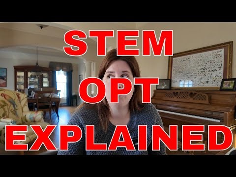 STEM OPT Training Plans & Employer Responsibilities Explained